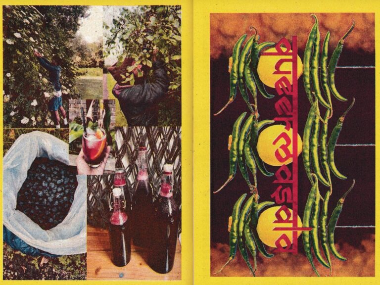 Food culture zines challenging power.