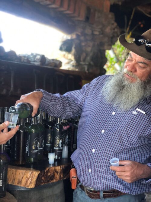 Love for agave. The Sin Gusano experience.