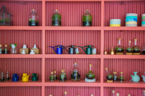 Through the glass with Emma of London Terrariums.