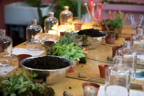 Through the glass with Emma of London Terrariums.