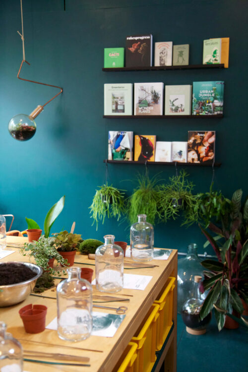 Through the glass with Emma of London Terrariums.