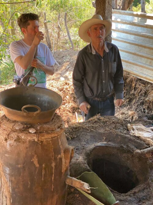 Love for agave. The Sin Gusano experience.
