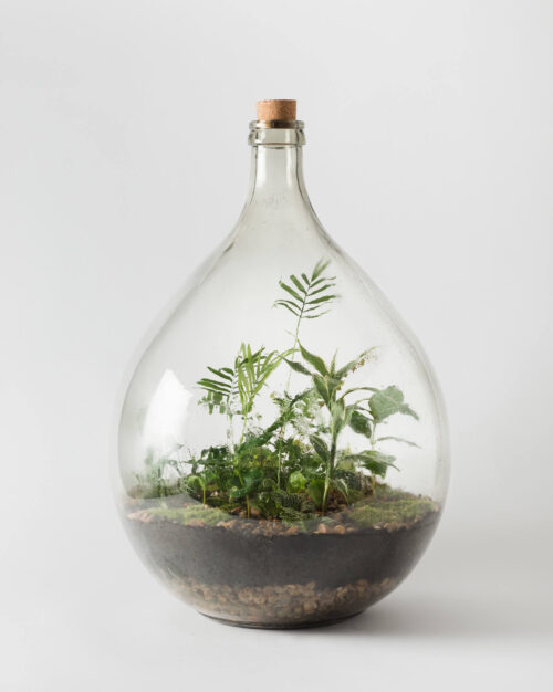 Through the glass with Emma of London Terrariums.