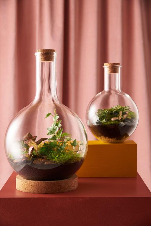 Through the glass with Emma of London Terrariums.