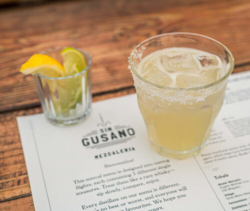 Love for agave. The Sin Gusano experience.